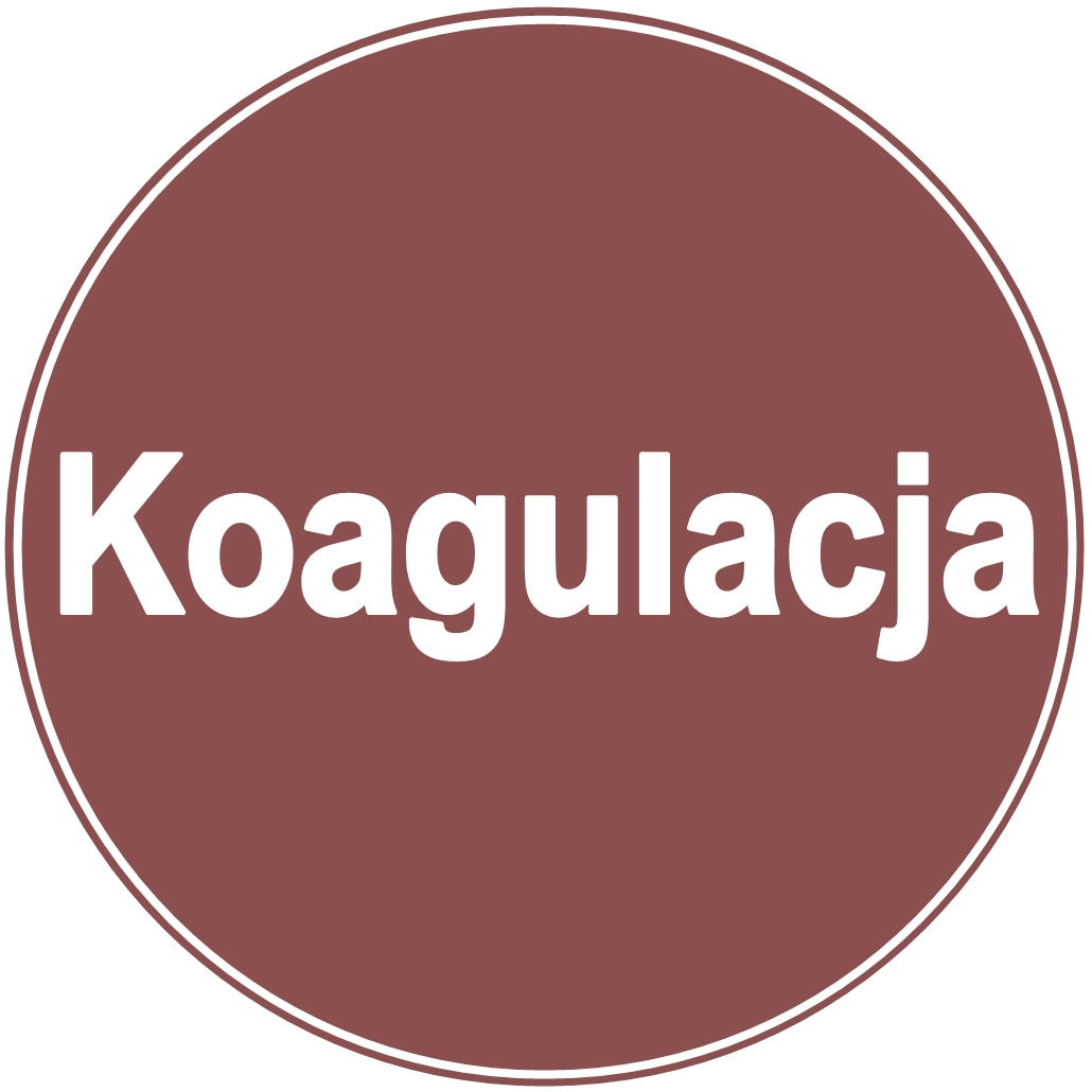 Koagulacja